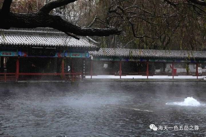 百脉泉|雪泉共舞，百脉氤氲：泉城第一场雪，百脉泉飞花穿庭，盛雪芳华