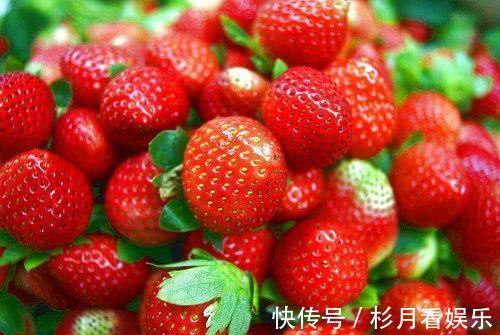 护肤|秋天来了,适合吃的食物,美容护肤,养护血管,预防衰老