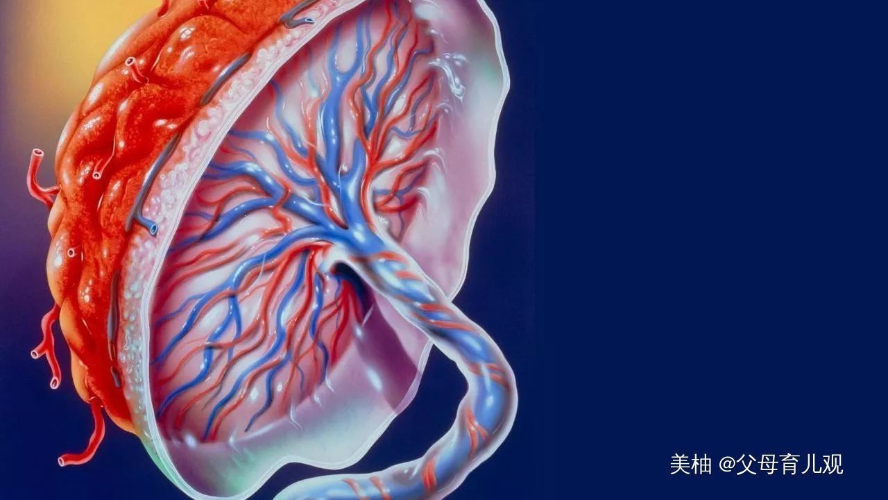 生娃|孩子刚出来,医生又伸手掏,产妇以为还有一个,没想到出来的是它