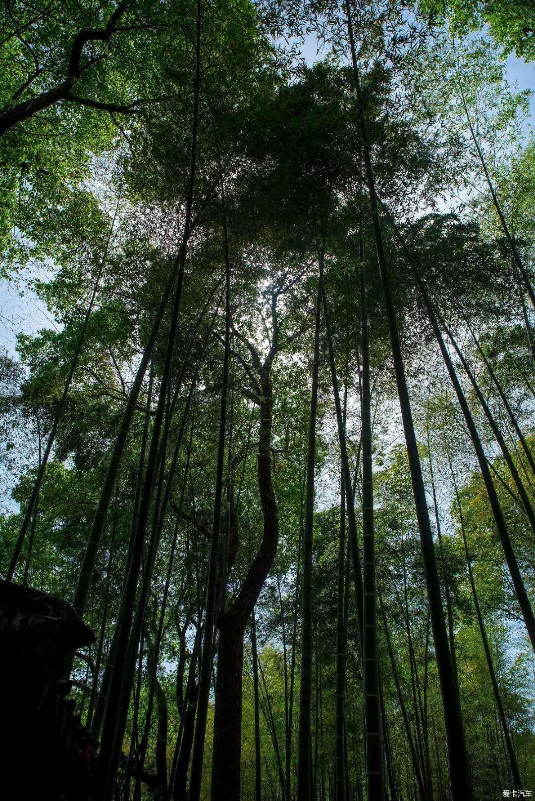 天池山美景