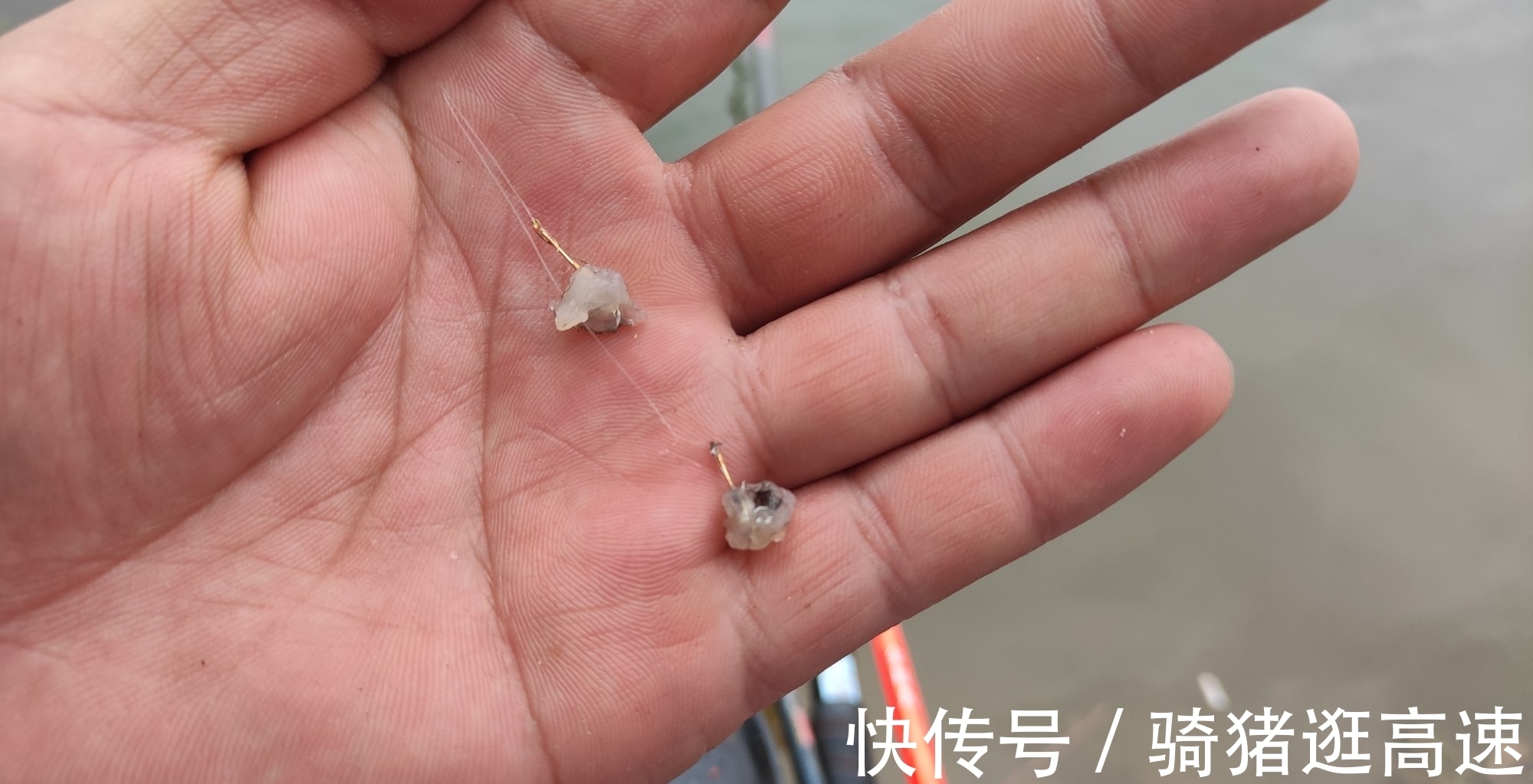 钓鲫鱼20多年,才发现秋季钓鲫鱼最实用的四招,鱼获翻倍就靠它了