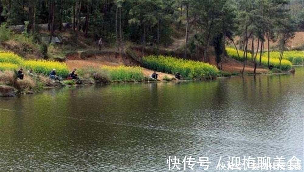 双铅钓法原理:钓组有2个铅坠,更重但是更灵敏,适合刮风天使用