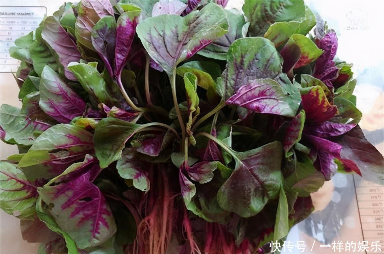 养胃|人要长寿,多吃3种蔬菜,养胃健脾,增强免疫力,早吃早好