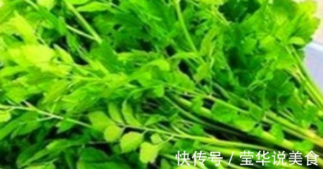 白刺果|想长寿要会吃,多吃的食物,降压减脂,净化血管,有益健康