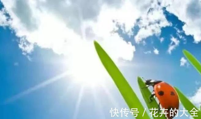 天氣|8月7號立秋，2021年立秋有哪些特點呢？農諺俗語告訴你