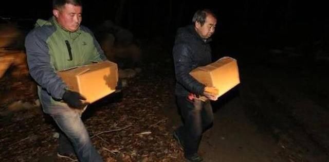 有人|老汉祖坟挖出两件“宝贝”,有人出500万元收购,专家后悔一辈子