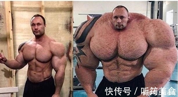 小鼠|天天举铁训练，肌肉还不大为何动物不运动肌肉发达程度远超人类