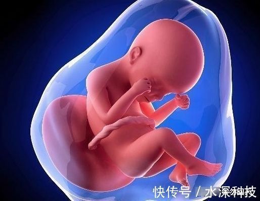 孕妇|怀孕后，为什么有的不显怀，有的肚子却那么大？看完你就知道了！