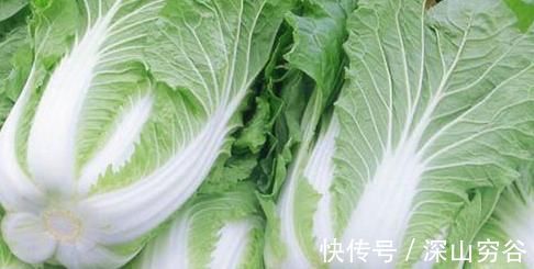 大白菜|炒白菜不能放此种东西,吃了就是自己找罪受,现在明白还不晚