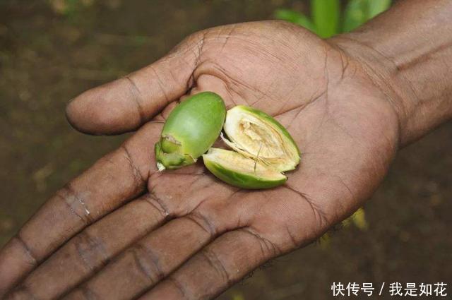 亚硝基|美国全面禁售的食物，却让中国6000万人吃上瘾？看完后你还敢吃吗