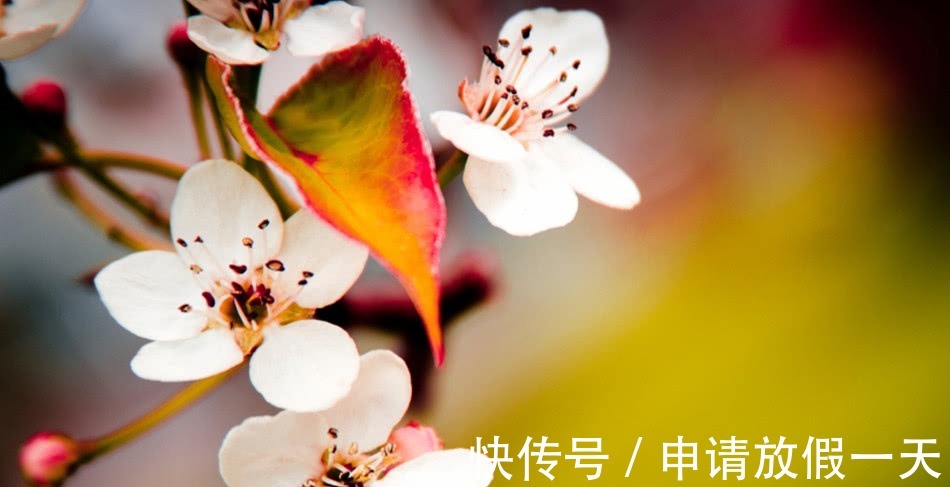 运气@人都是有运气的,一旦做事有这三个“特征”,恭喜你,好运来了