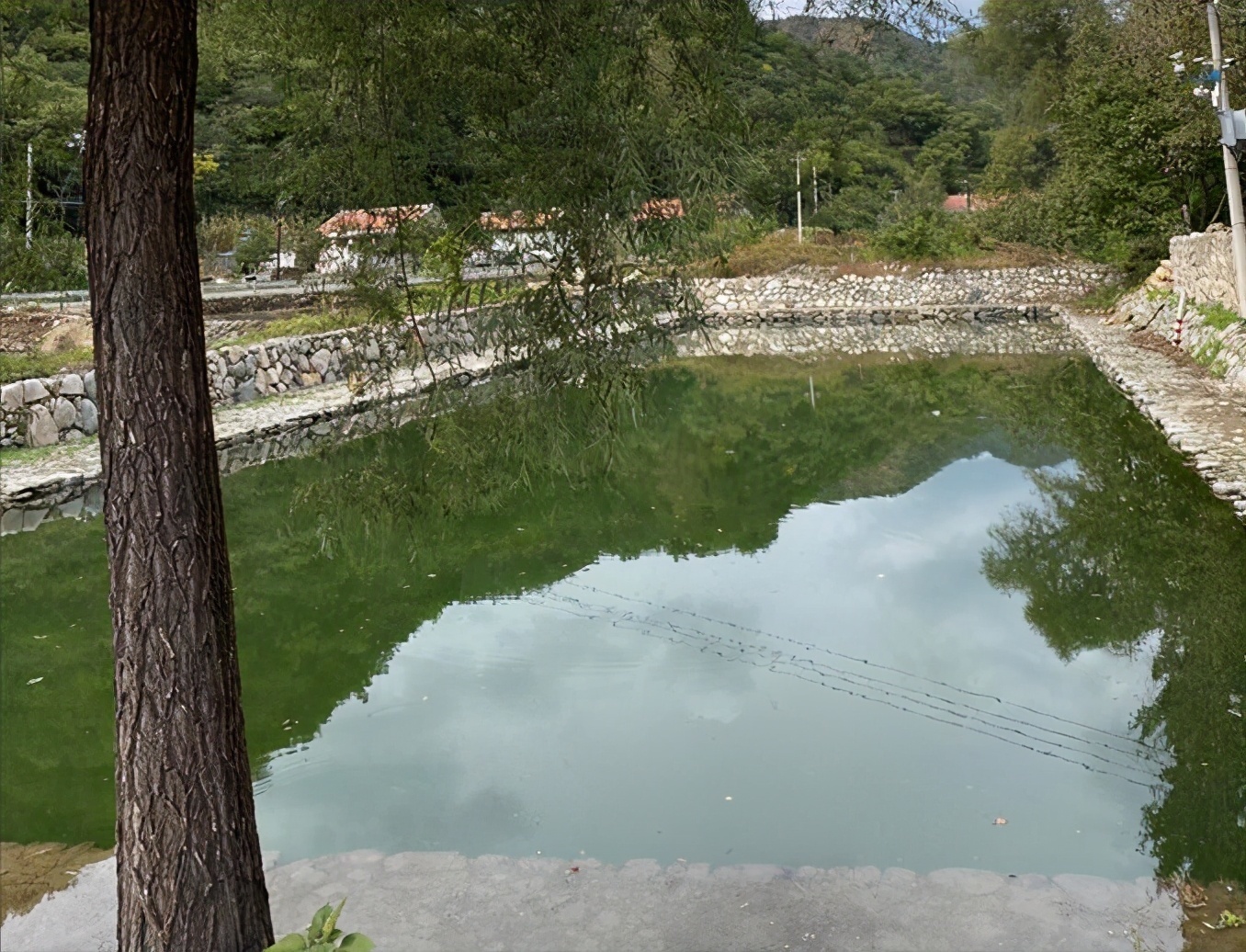 上线|春暖花开时，不仅要看青松岭美景，还要吃兴隆山沟沟民宿特色美食