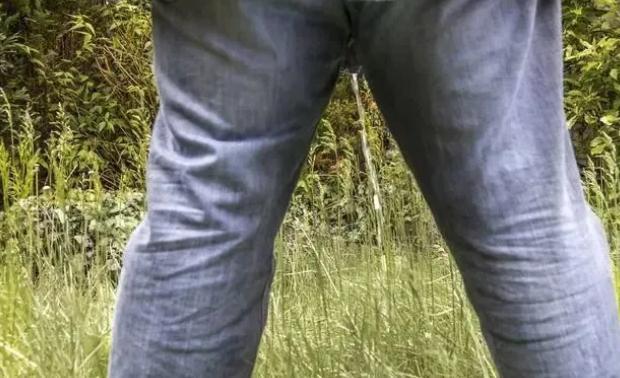 蒲公英|男人,出现5种迹象,说明已经老了,哪怕只占了1个,也要开始保养