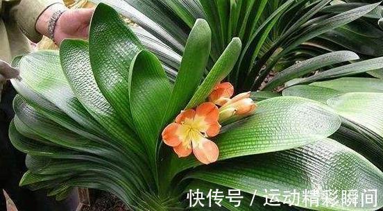 土壤板结怎么办,教你5招小技巧,土壤疏松透气根系健壮