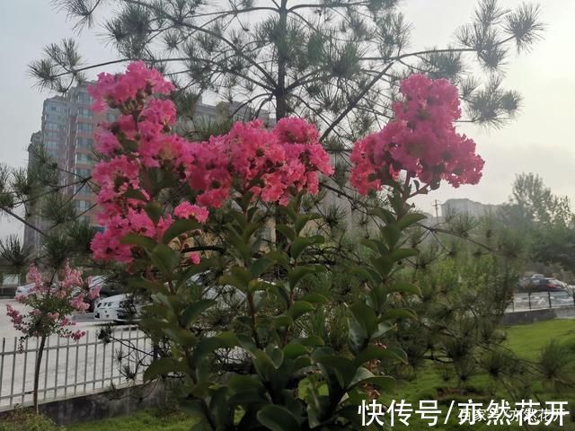 故事情节|增加三种写作佐料，使故事更加生动有趣