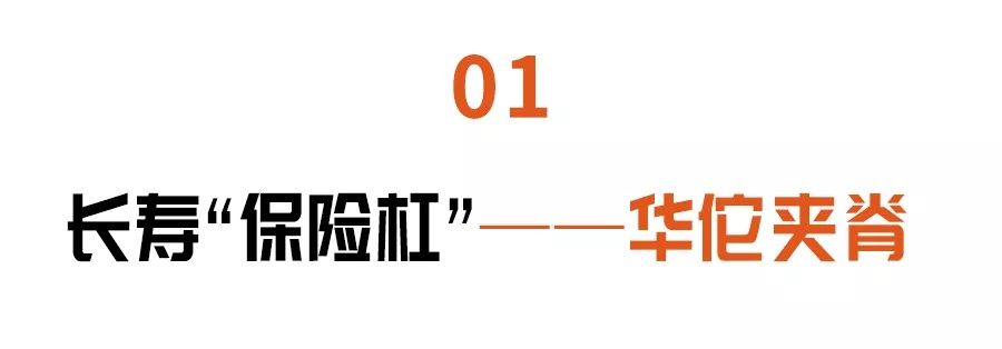 身上有条“长寿脊”,简单三招打通它!心肺不适、腰疼、颈椎痛全部见了~