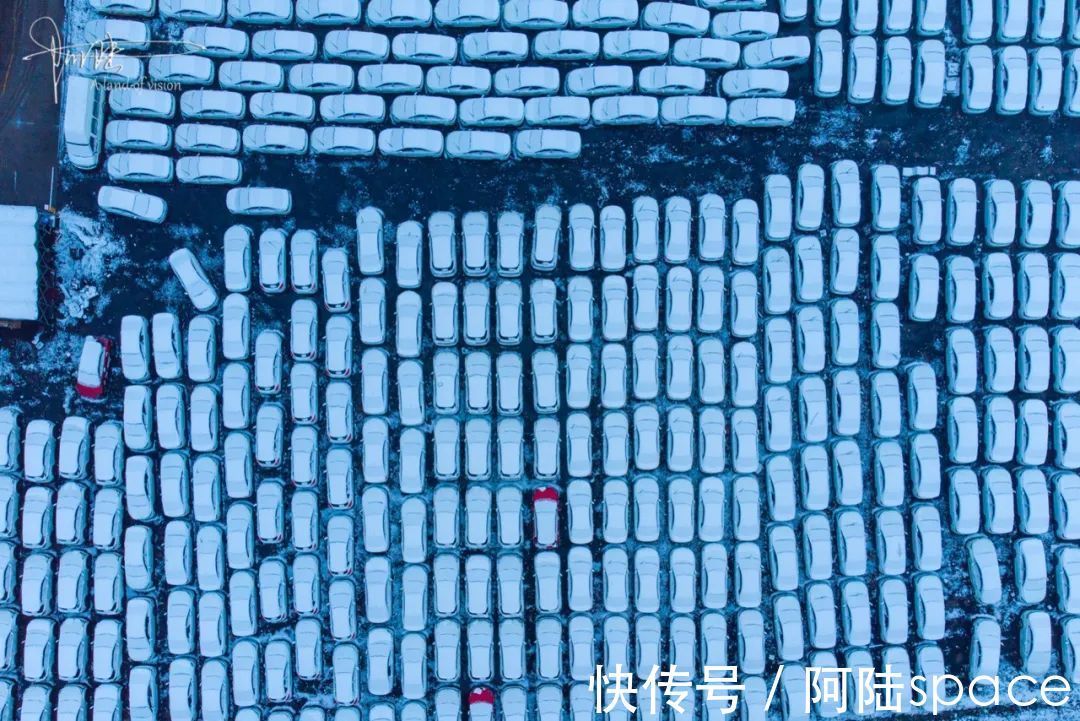 西溪|杭州的第二场雪如约而至，在城郊，发现一些与众不同的风景