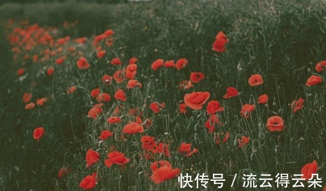 落地|桃花落地，喜鹊入宅，旧爱复合，再度相拥，此生结缠绵