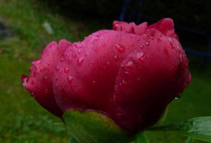  开篇|李煜高水平之作，仅开篇6个字就出手不凡，词中之帝填词已入化境