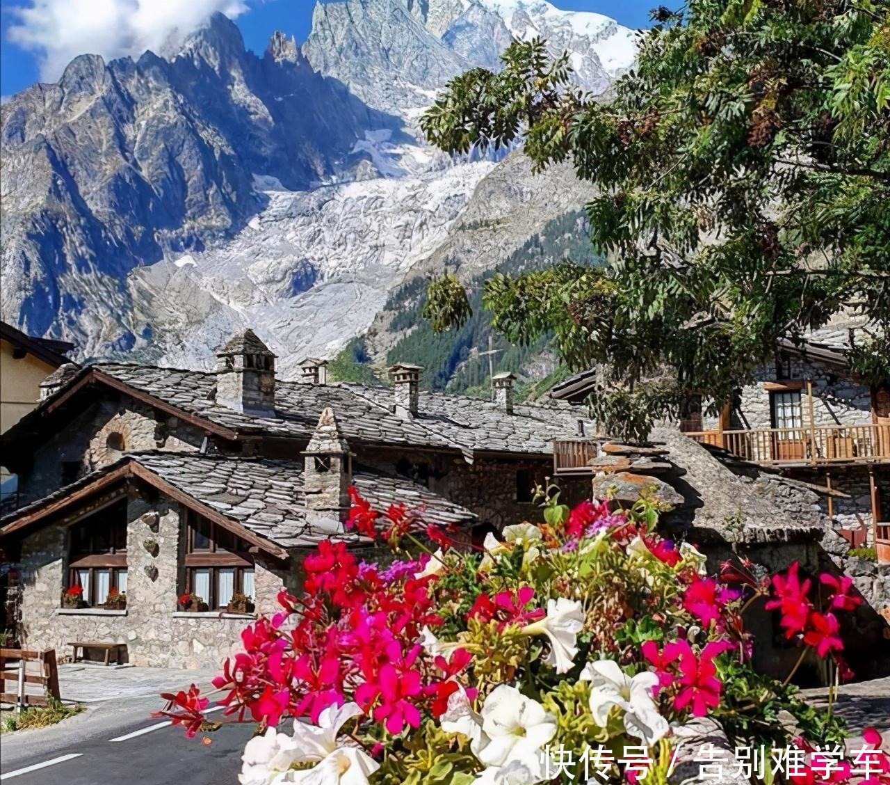 Pizza|要彻底惹毛一个意大利人,你只需在他的Pizza上加奇异果!