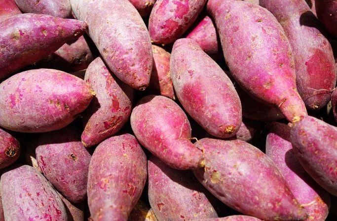 身体|常吃红薯的人,身体不会差,但要注意“2不”,值得要分享给家人