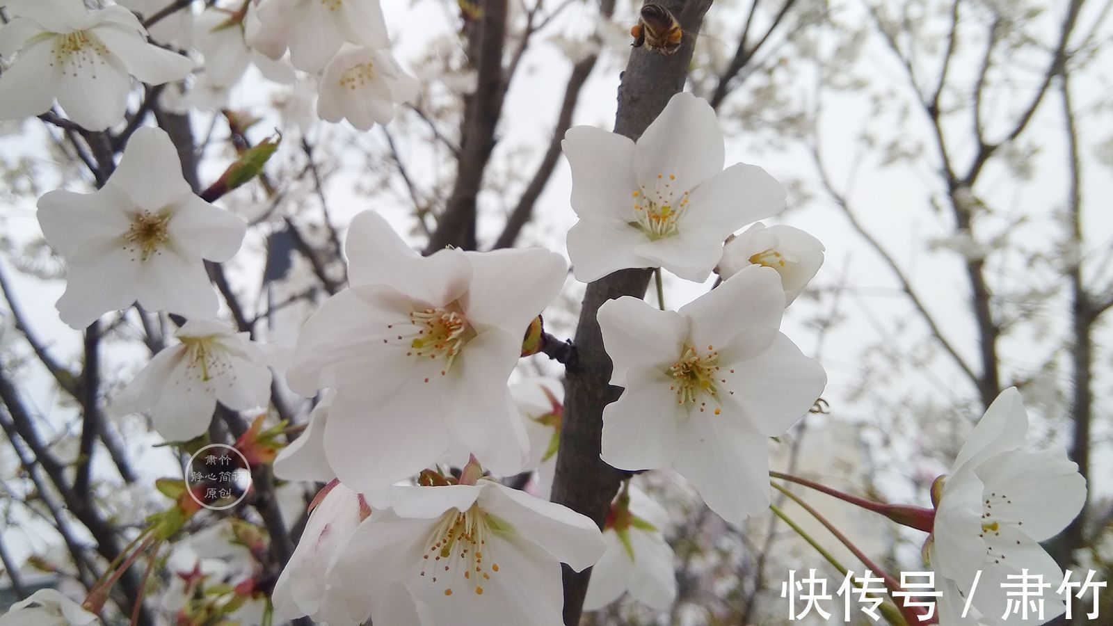 大雾|随着一场别离，伊便在大雾中隐去