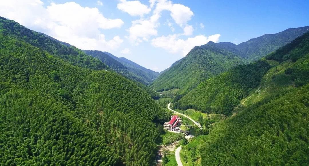 浅谈|御春园生态茶厂制茶师陈金荣浅谈正山小种红茶的口感体验