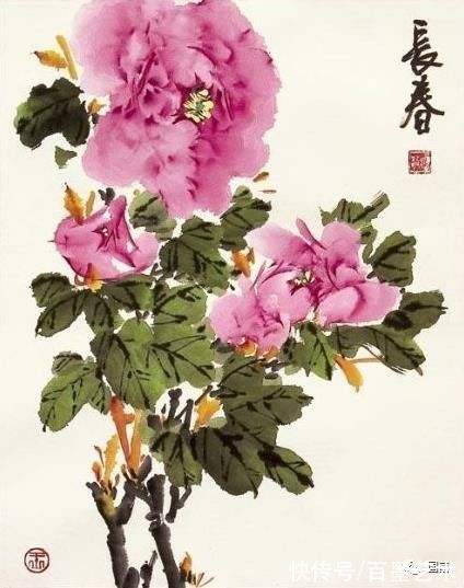 花鸟画！小写意牡丹画，美醉了