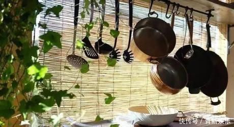 桃花源|20多岁的年龄差距,却把一个破烂的农家小院变成了“桃花源”