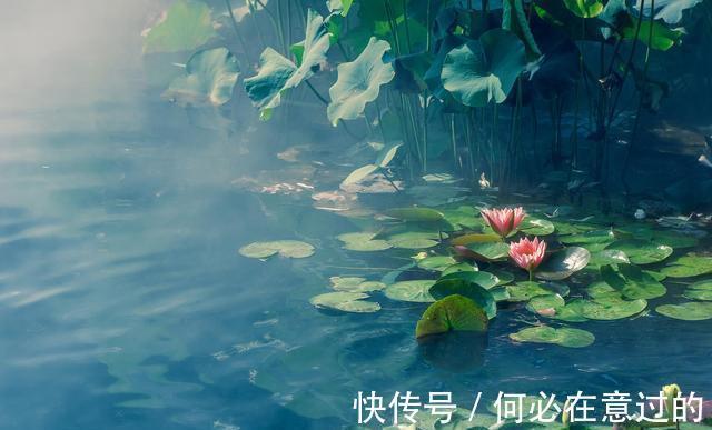 低调&做人的大智慧：低调谦虚