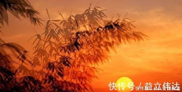 冰雪|瀑布“冻成”网红,许多人冒着严寒欣赏,形成了奇妙的冰雪奇观