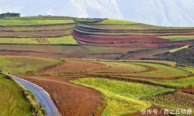 神奇的土地，浓烈的色彩，完美的线条，东川红土地