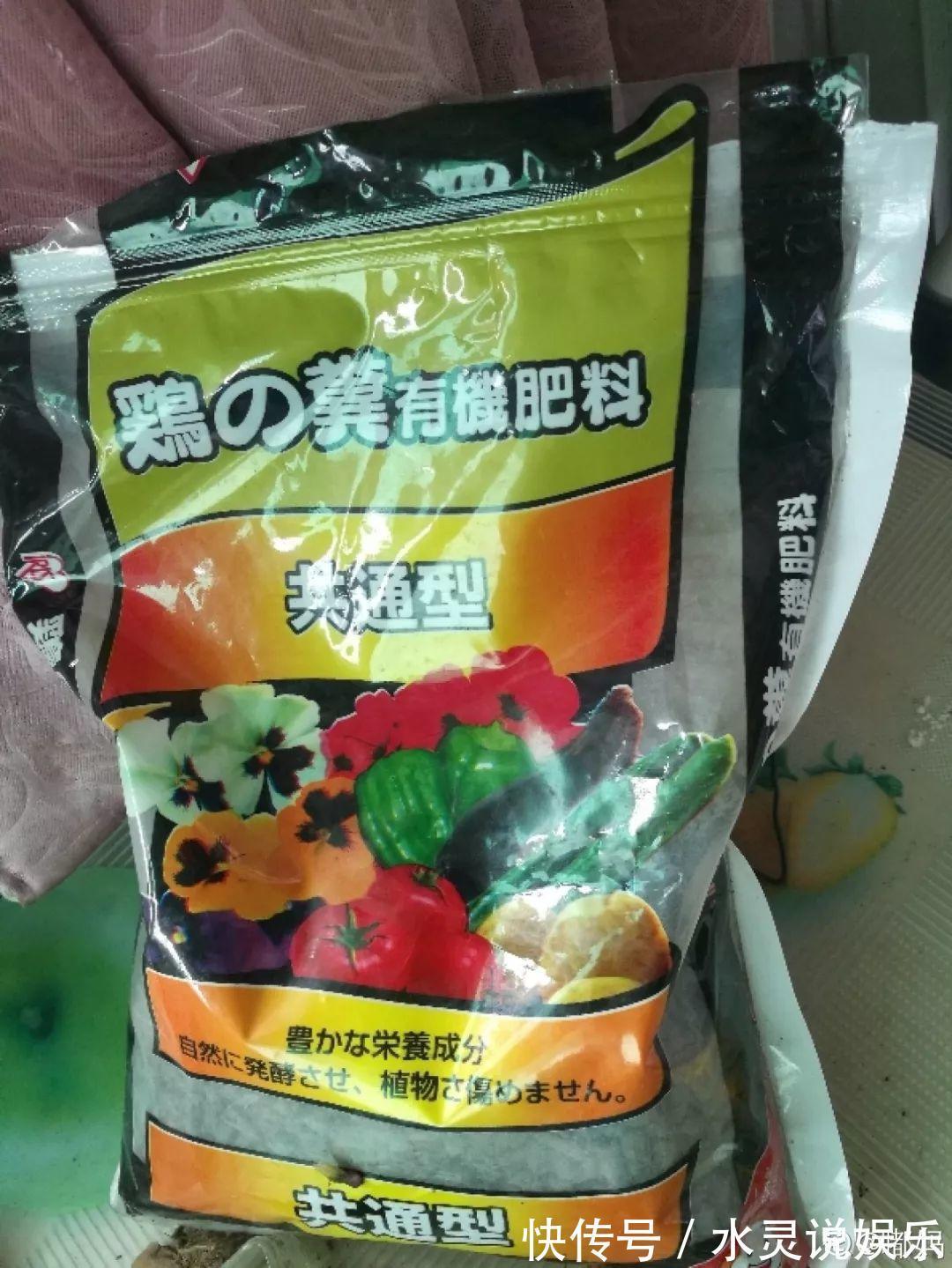 鱼缸|盆土硬成大疙瘩,浇点松土剂,立马软得像发糕!