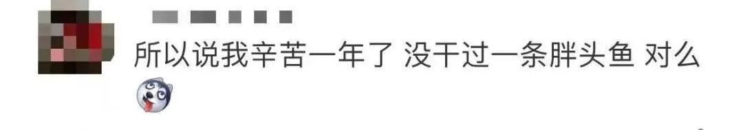 成交价！一条鱼卖出299.9999万，让人惊讶的是已经不是第一次