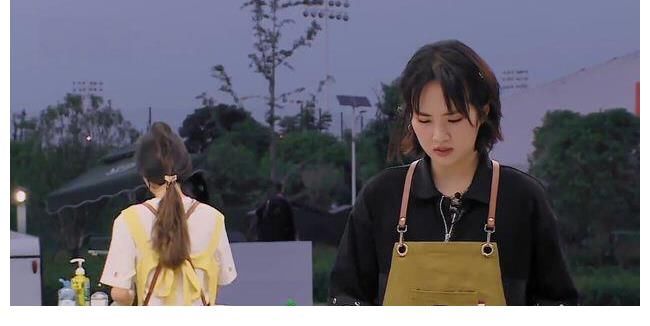 姚安娜|《中餐厅5》真是可惜了，高开低走，越播越难看，龚俊都救不了