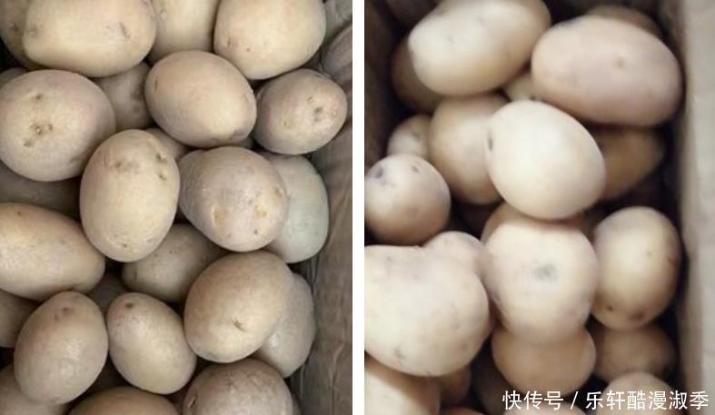 维b|它是宿便天敌,维C是苹果10倍,润肠养胃,5块钱能做一大盘!