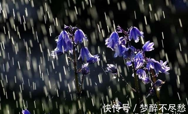 朋友|很像“及时雨”的4生肖，言出必行，心胸广，雪中送炭，很靠谱