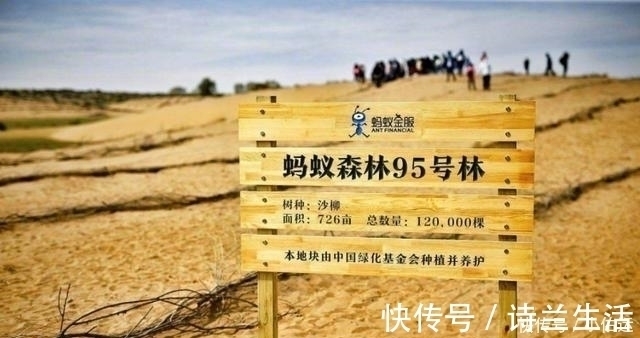 蚂蚁|马云退休后，阿里公布的一张照片，让网友热泪盈眶原来都是真的