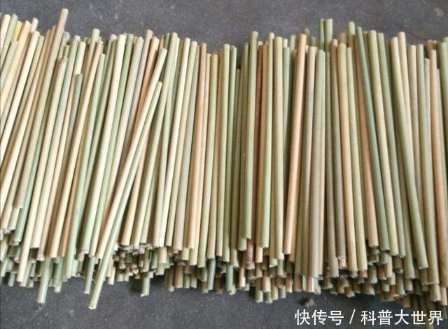 常用|竹子都是空心吗其实也有实心竹熊猫最爱吃它,生活中也常用到