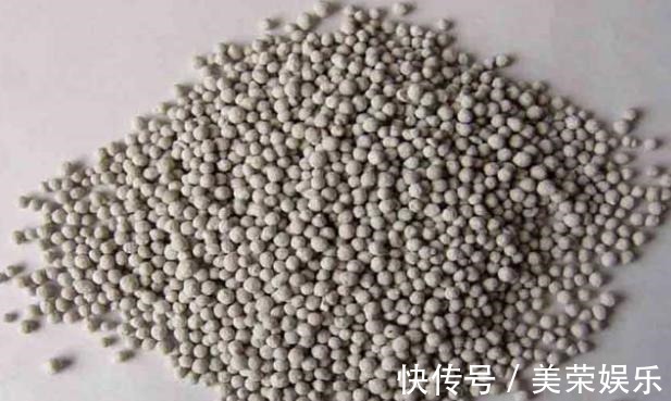 养花就用这些东西“密制”花肥,不花一分钱,还好用不烧根