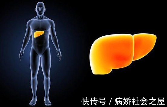 苹果|厨房里的“清肝王”被找到!若你刚好也爱吃,肝脏一天比一天干净