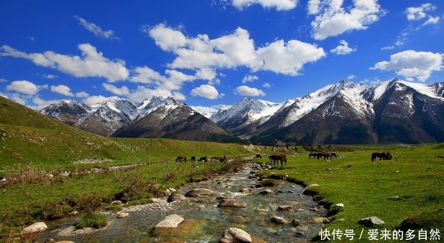 如果你还在犹豫五一小长假去哪，这几个地方你可以前往！