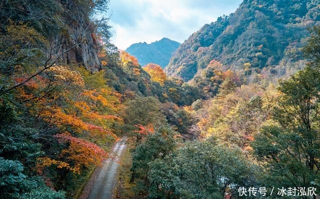 秘境|媲美光雾山！平武这条沟，藏着一个惊艳的彩林秘境！