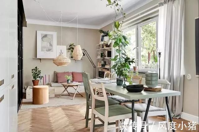 绿植|46平公寓，墙面挂衣架，步入式衣帽间，地台沙发，小户型大设计