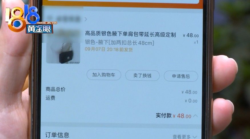 正品|“红布林”上买“缪缪”, 包链“一眼有问题”？