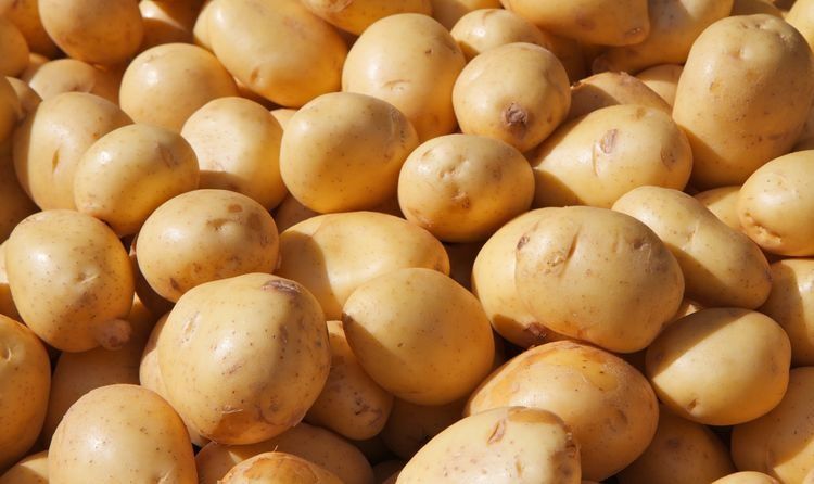 “1”个土豆，6种做法，每天换着吃，天天不重样，看完建议收藏