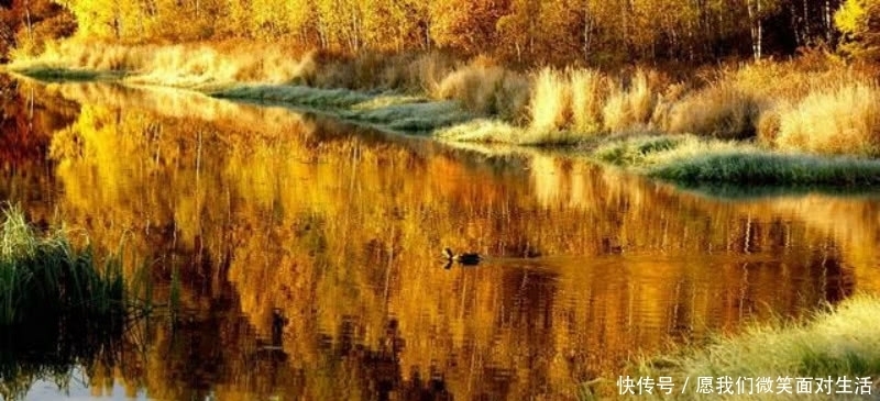 一首不应该忽略的唐诗,通篇描写得极为凄美,写出了诗意的秋天!