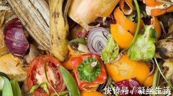 家庭养花，没有肥料也别愁，往土里埋“2个蛋壳”，啥都不缺!