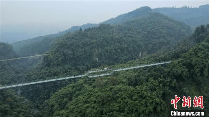 成都|解锁竹海新体验！成都邛崃高空全景走廊亮相