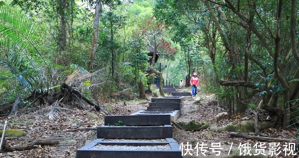 浙江又一景区“走红”，“名坑景不坑”，四季景色各不同